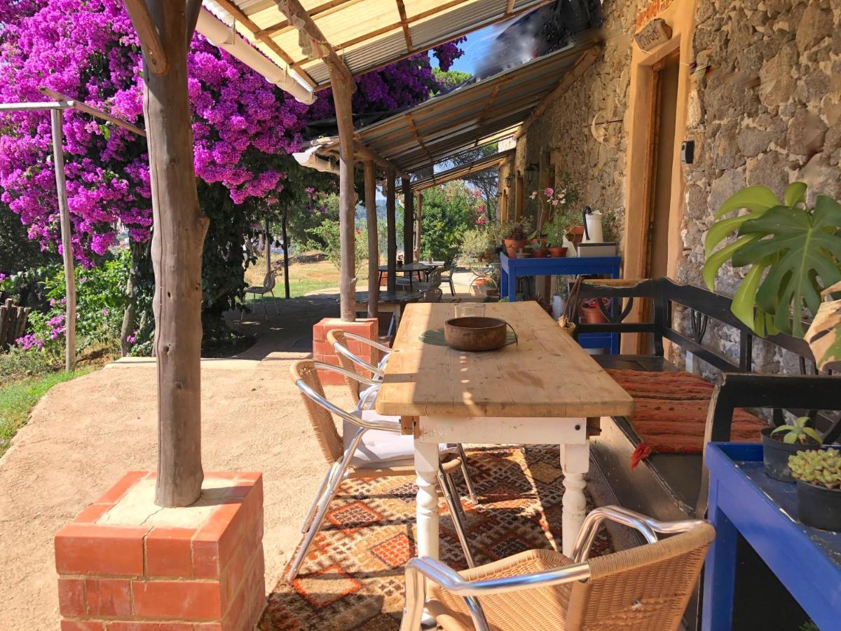 Wild Oasis - Algarve Guest House Esgravatadouro Exterior photo